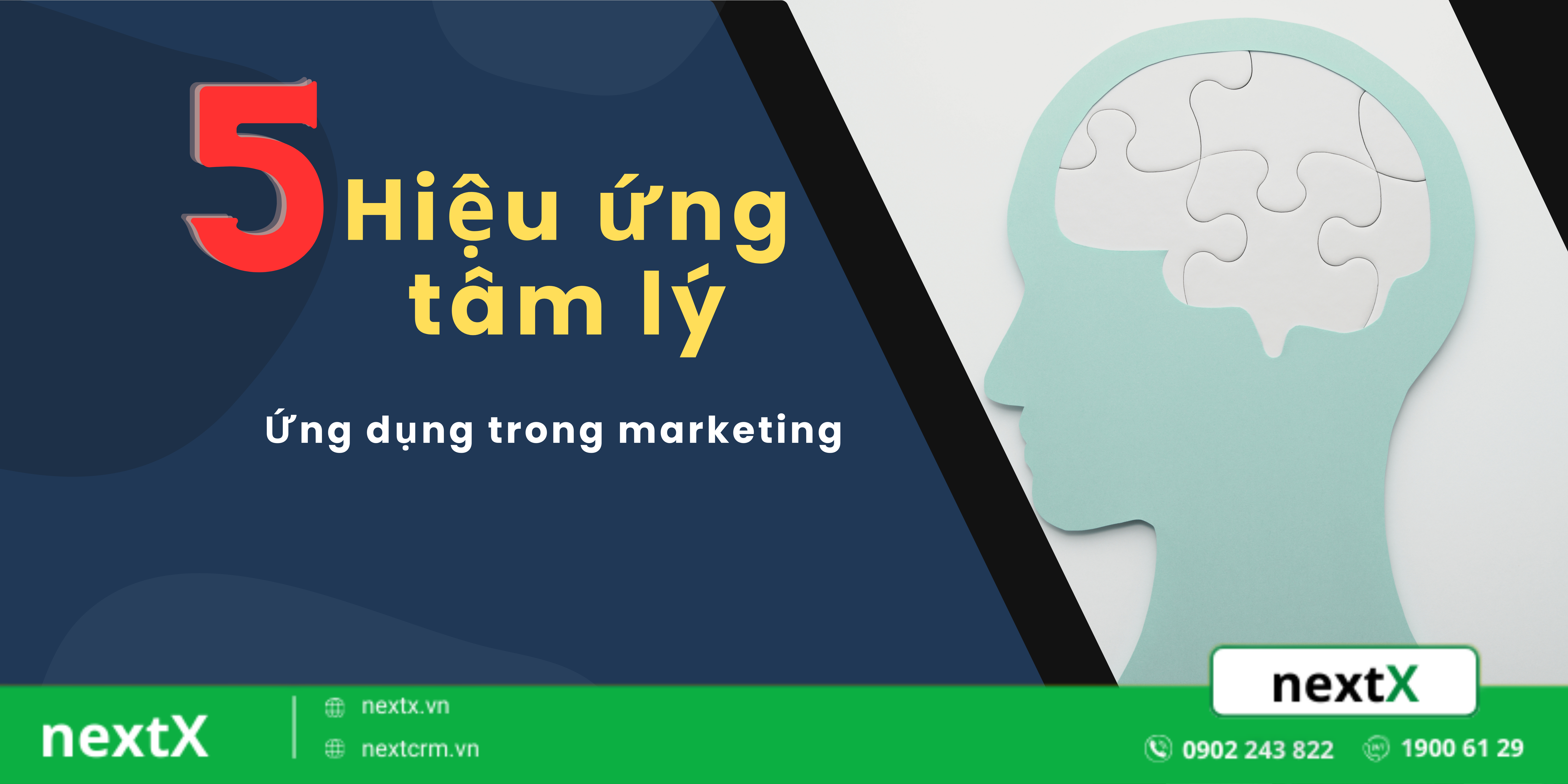 5 Hiệu ứng tâm lý phổ biến trong marketing và cách áp dụng