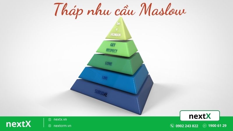 Giải mã Tháp Maslow: 5 cấp độ nhu cầu Con Người trong xã hội 