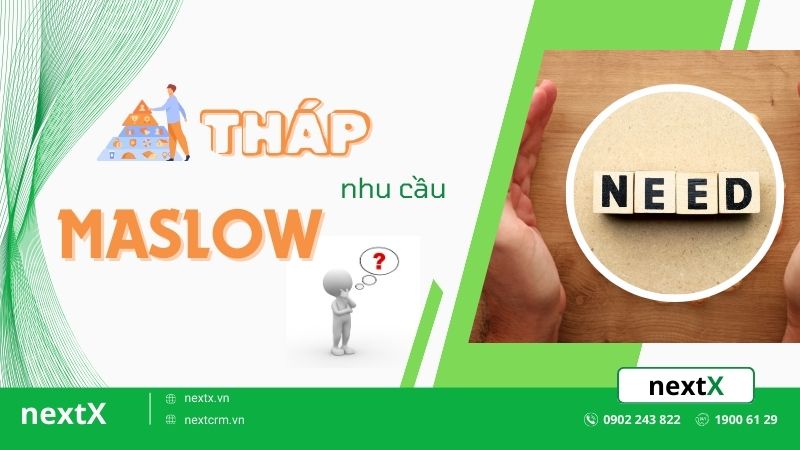 Tháp nhu cầu Maslow là gì? 5 cấp độ nhu cầu của con người trong xã hội