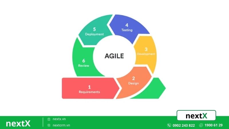 agile management