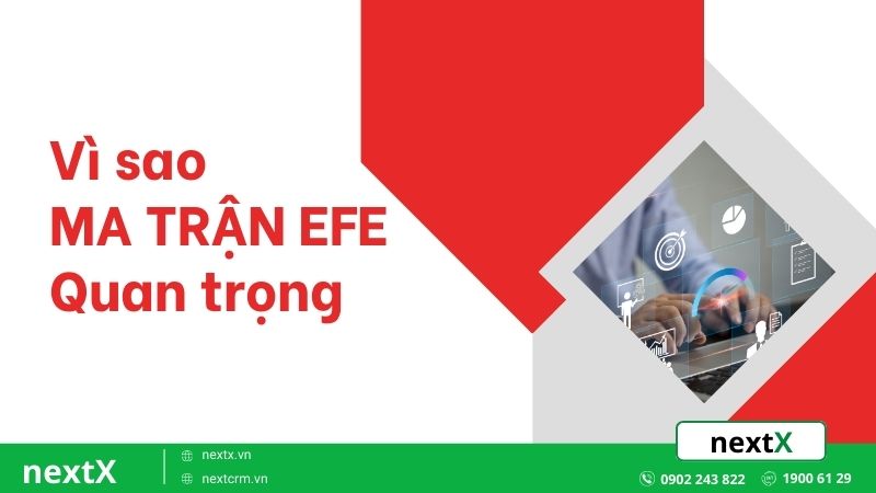 Vì sao ma trận EFE lại cần thiết đối với doanh nghiệp?