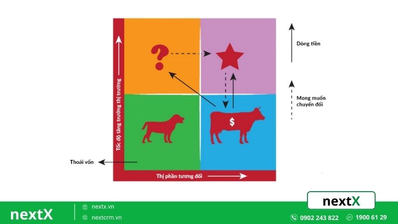 Mô hình BCG Matrix hoạt động như thế nào?