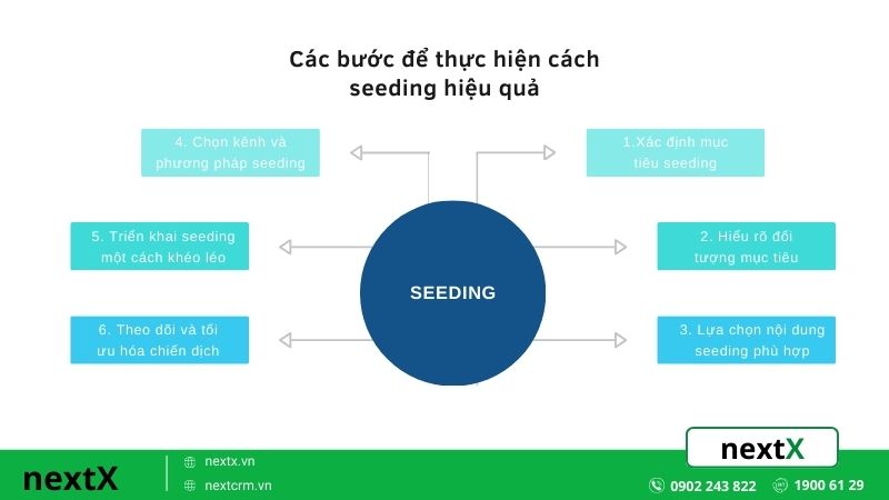 Các bước để thực hiện cách seeding hiệu quả