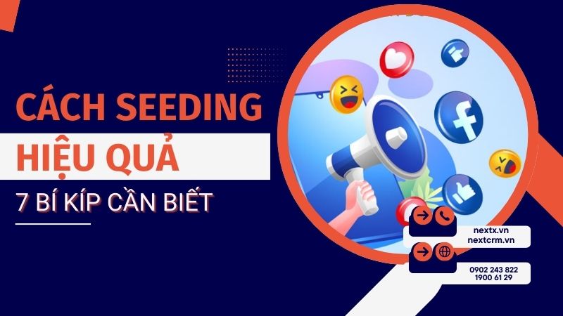 Đâu là cách seeding hiệu quả? 7 bí kíp thành công bạn cần biết