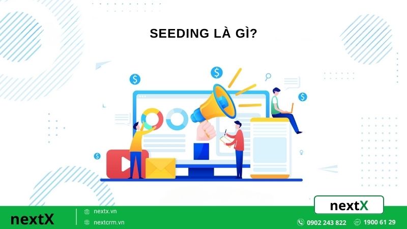 Seeding là gì?