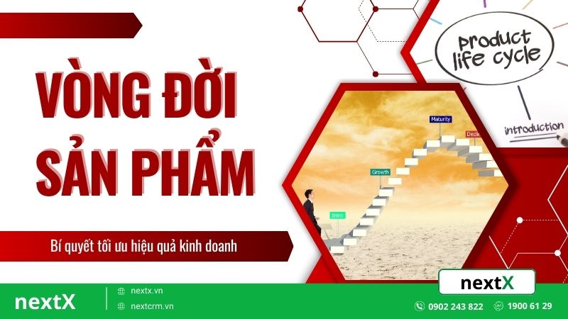 Vòng đời sản phẩm và bí quyết tối ưu hiệu quả kinh doanh