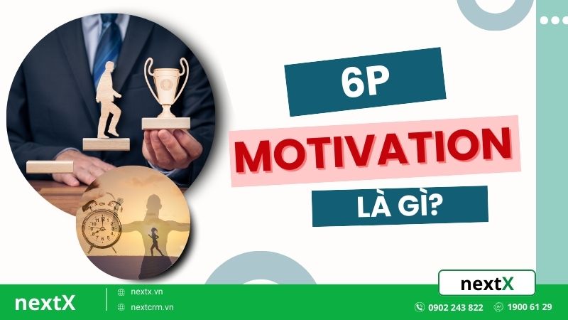 6p motivation